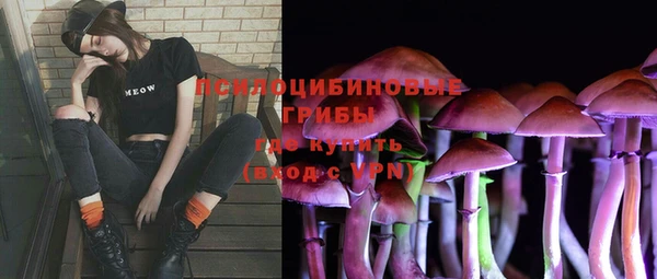 сатива Магадан