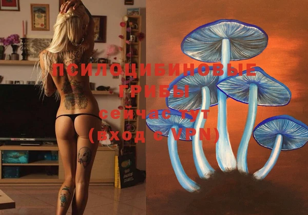 сатива Магадан