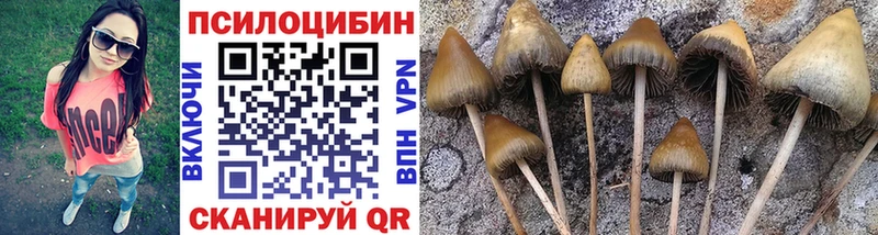 Псилоцибиновые грибы MAGIC MUSHROOMS  Купить закладки  Муром